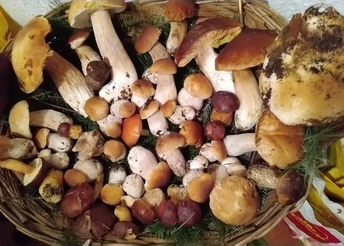 Апартаменты Beb Licia Villa Basilica